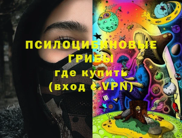 дмт Горняк