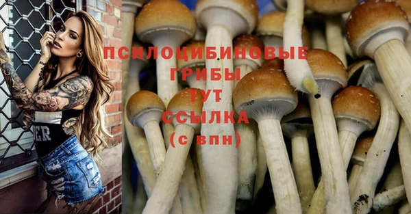 наркотики Горнозаводск