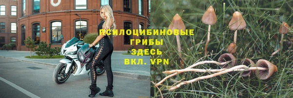дмт Горняк