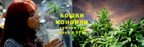 дмт Горняк