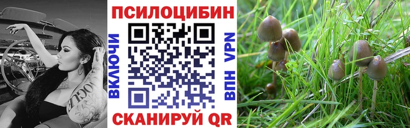 купить закладку  Дно  Галлюциногенные грибы мицелий 